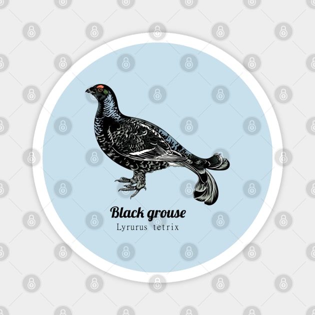 Black grouse Magnet by Frajtgorski